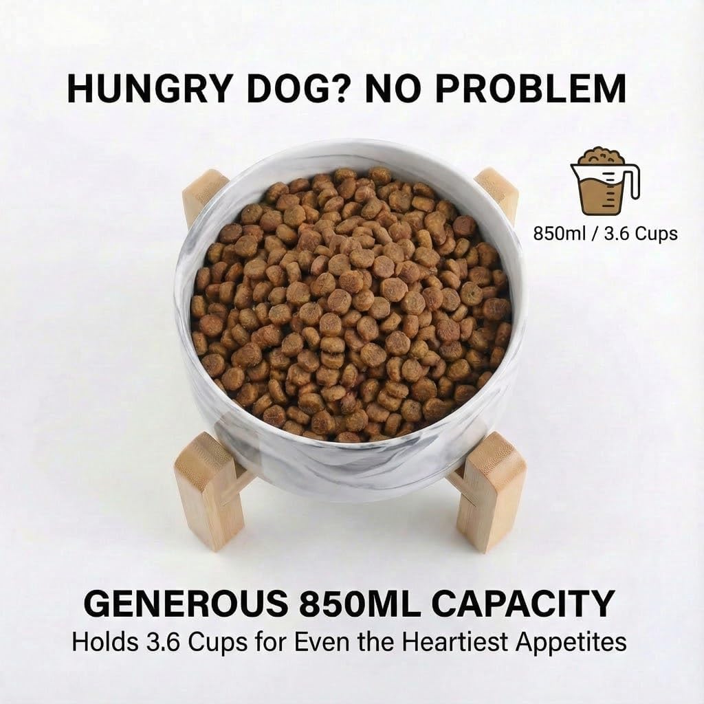 Ceramic Dog Bowl with Bamboo Stand – Elevated Single Pet Food & Water Bowl for Small Dogs & Cats | Non-Slip Stable Feeding Dish – DISHCOM