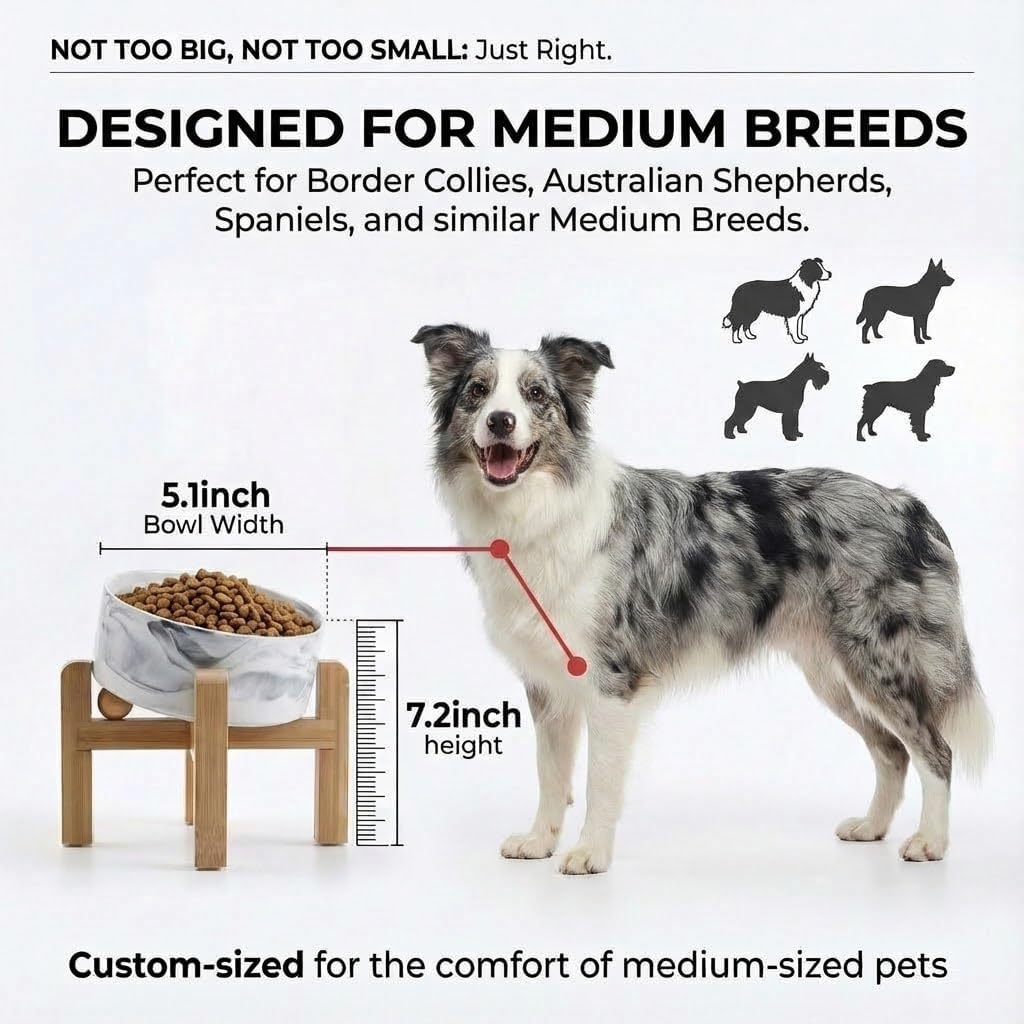 Ceramic Dog Bowl with Bamboo Stand – Elevated Single Pet Food & Water Bowl for Small Dogs & Cats | Non-Slip Stable Feeding Dish – DISHCOM
