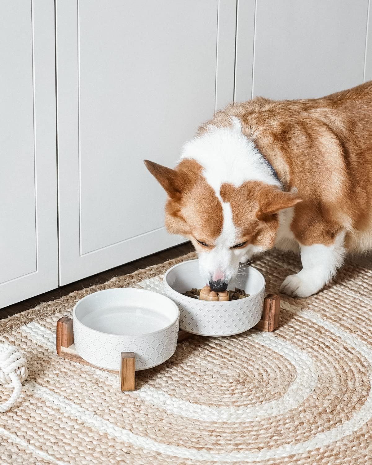 DISHCOM Dog Bowl Set with Acacia Wood Stand – 1.5 Cup Ceramic Puppy Bowls for Small Dogs, Dual Food & Water Bowls with Non-Slip Base