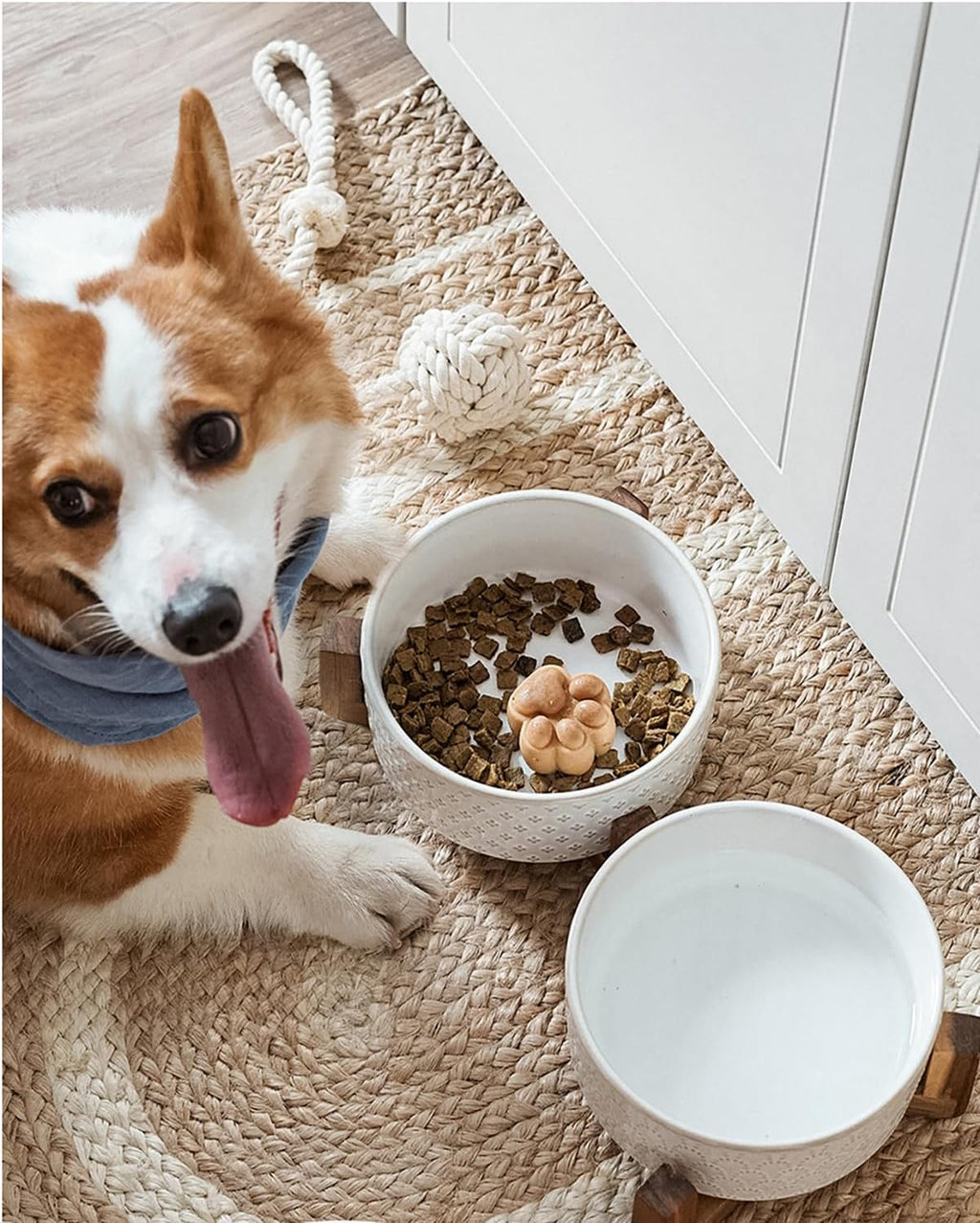DISHCOM Dog Bowl Set with Acacia Wood Stand – 1.5 Cup Ceramic Puppy Bowls for Small Dogs, Dual Food & Water Bowls with Non-Slip Base
