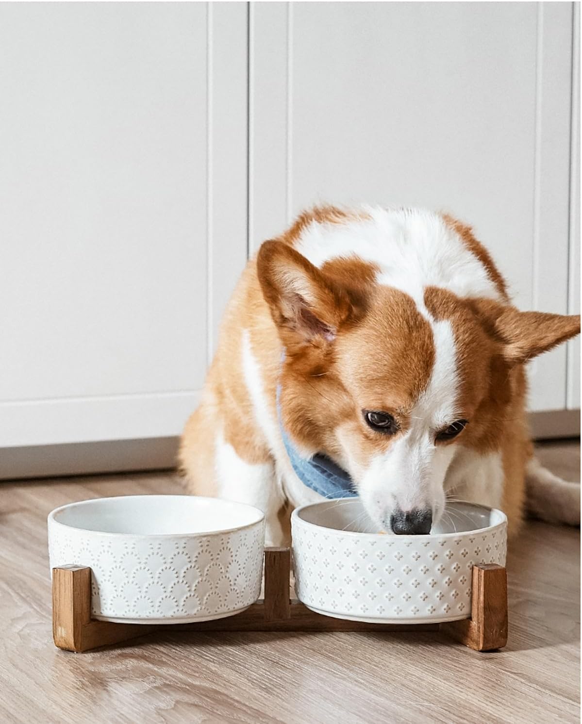 DISHCOM Dog Bowl Set with Acacia Wood Stand – 1.5 Cup Ceramic Puppy Bowls for Small Dogs, Dual Food & Water Bowls with Non-Slip Base